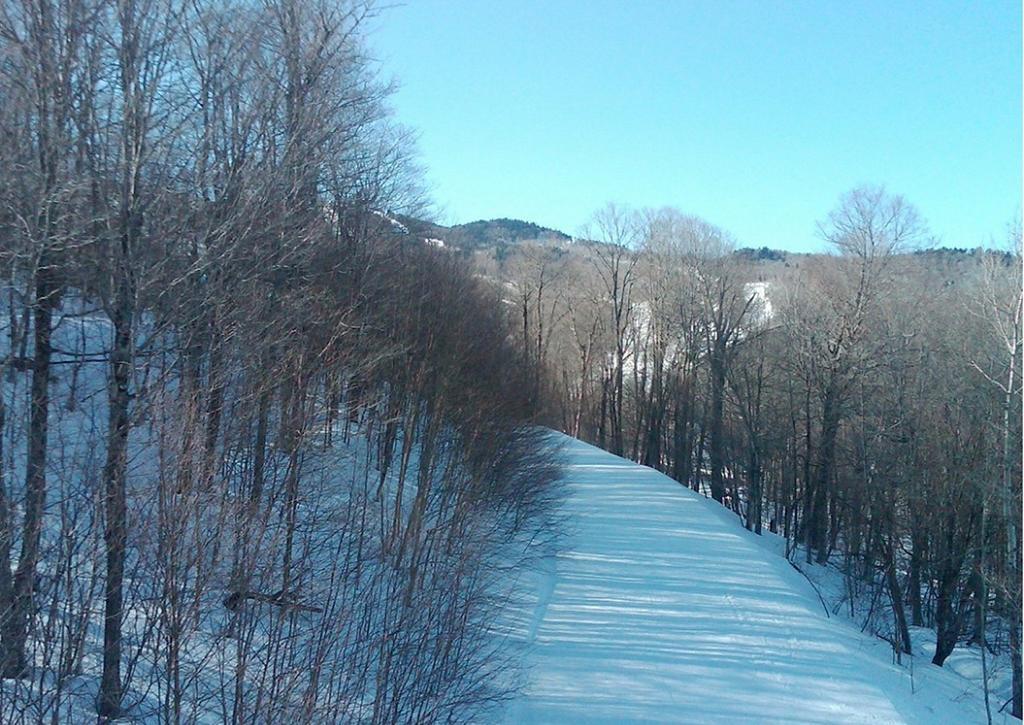 Ski In/Out Trailside Townhome キリングトン エクステリア 写真